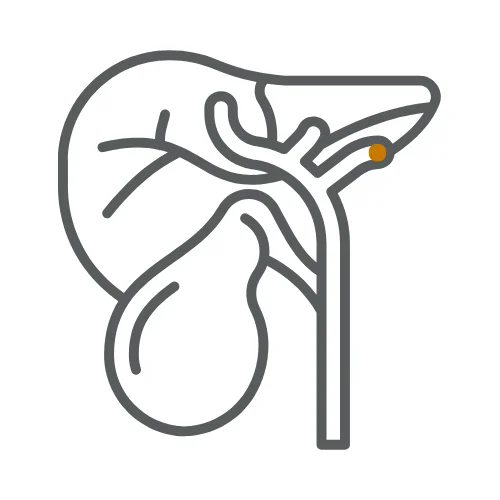 Gallbladder